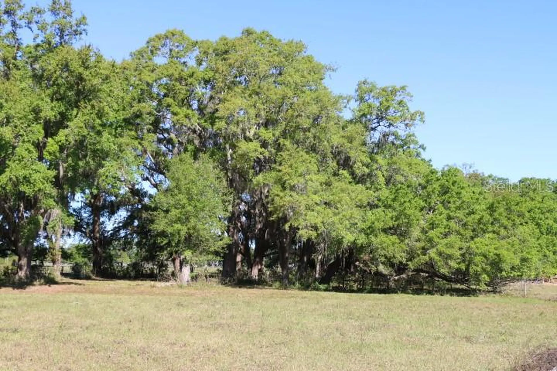Cr 48 Bushnell FL 33513
