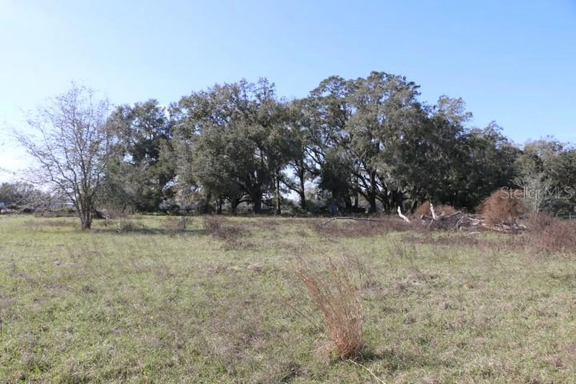 Cr 48 Bushnell FL 33513