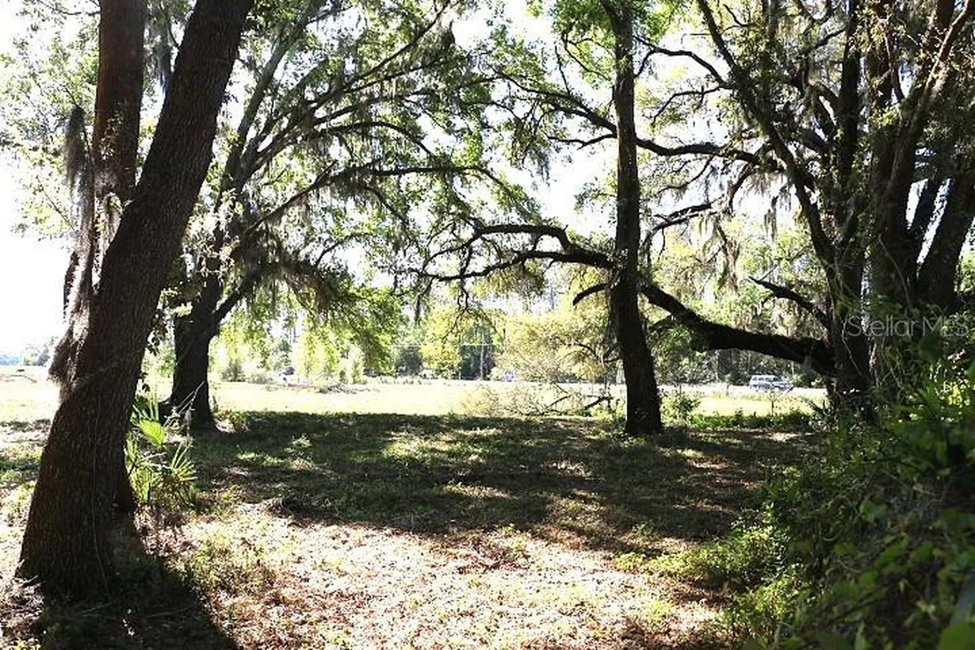 Cr 48 Bushnell FL 33513
