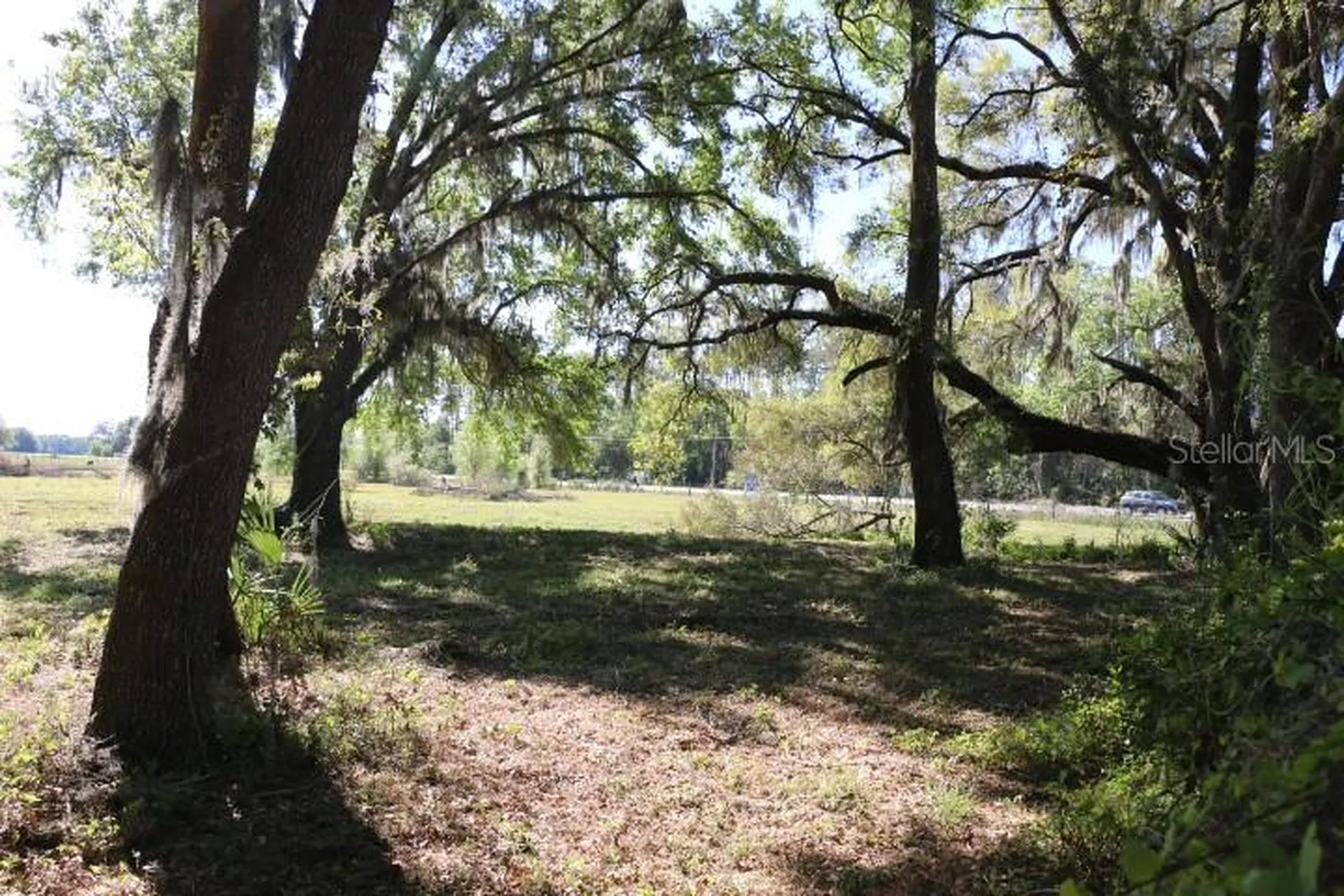 Cr 48 Bushnell FL 33513