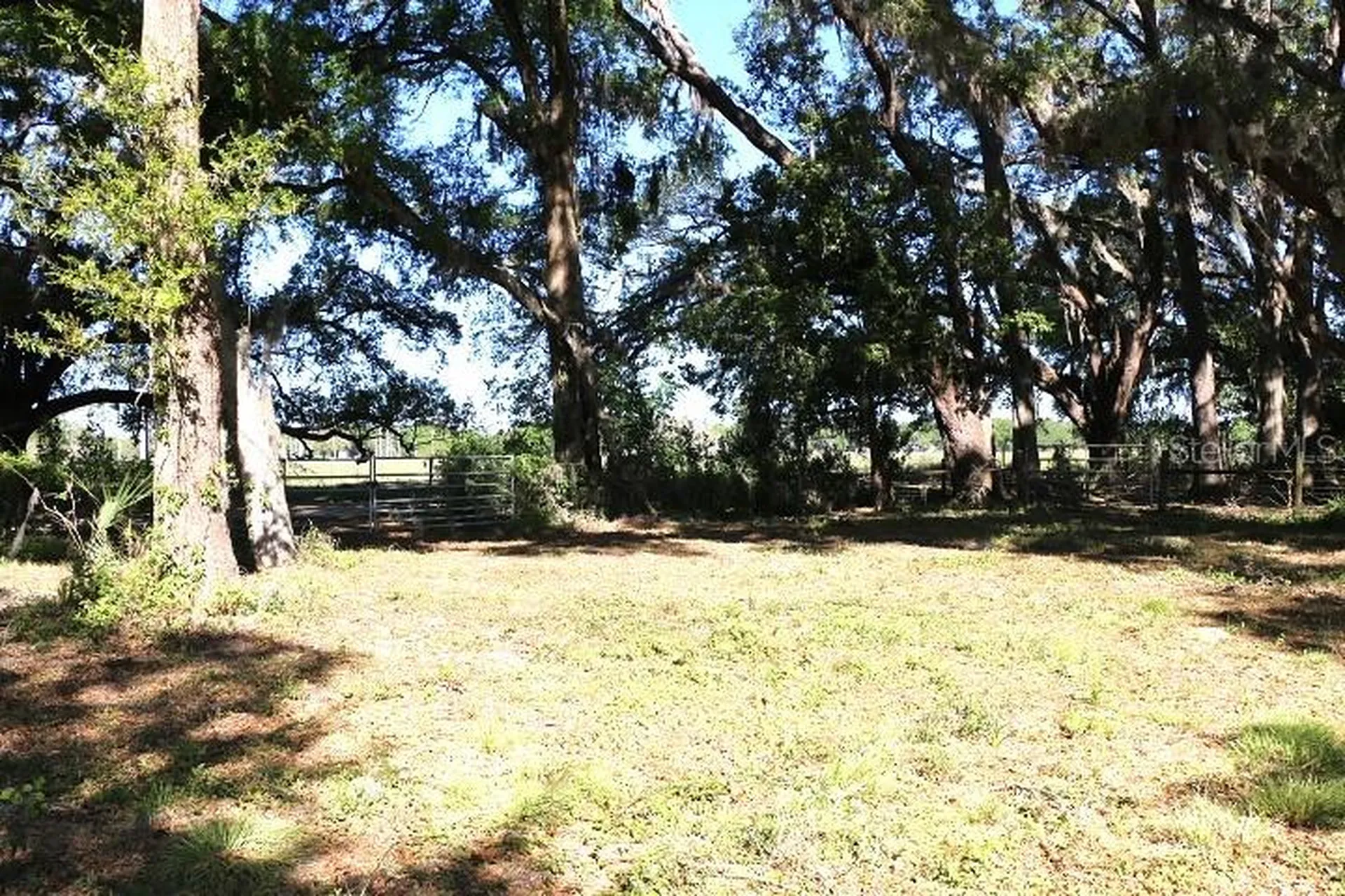 Cr 48 Bushnell FL 33513