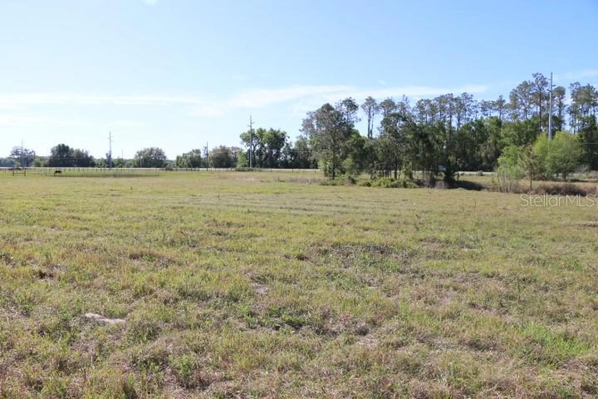 Cr 48 Bushnell FL 33513