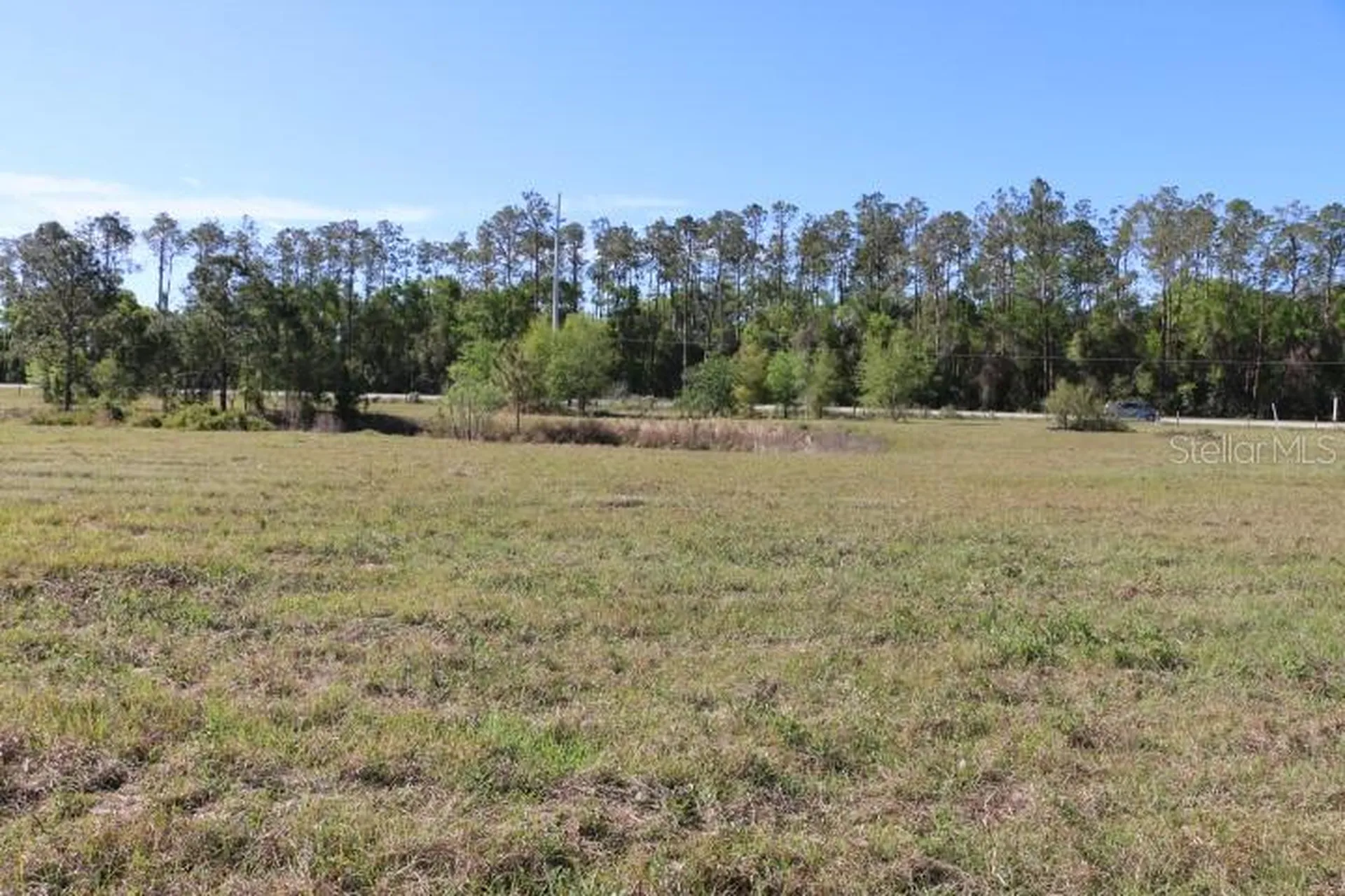 Cr 48 Bushnell FL 33513