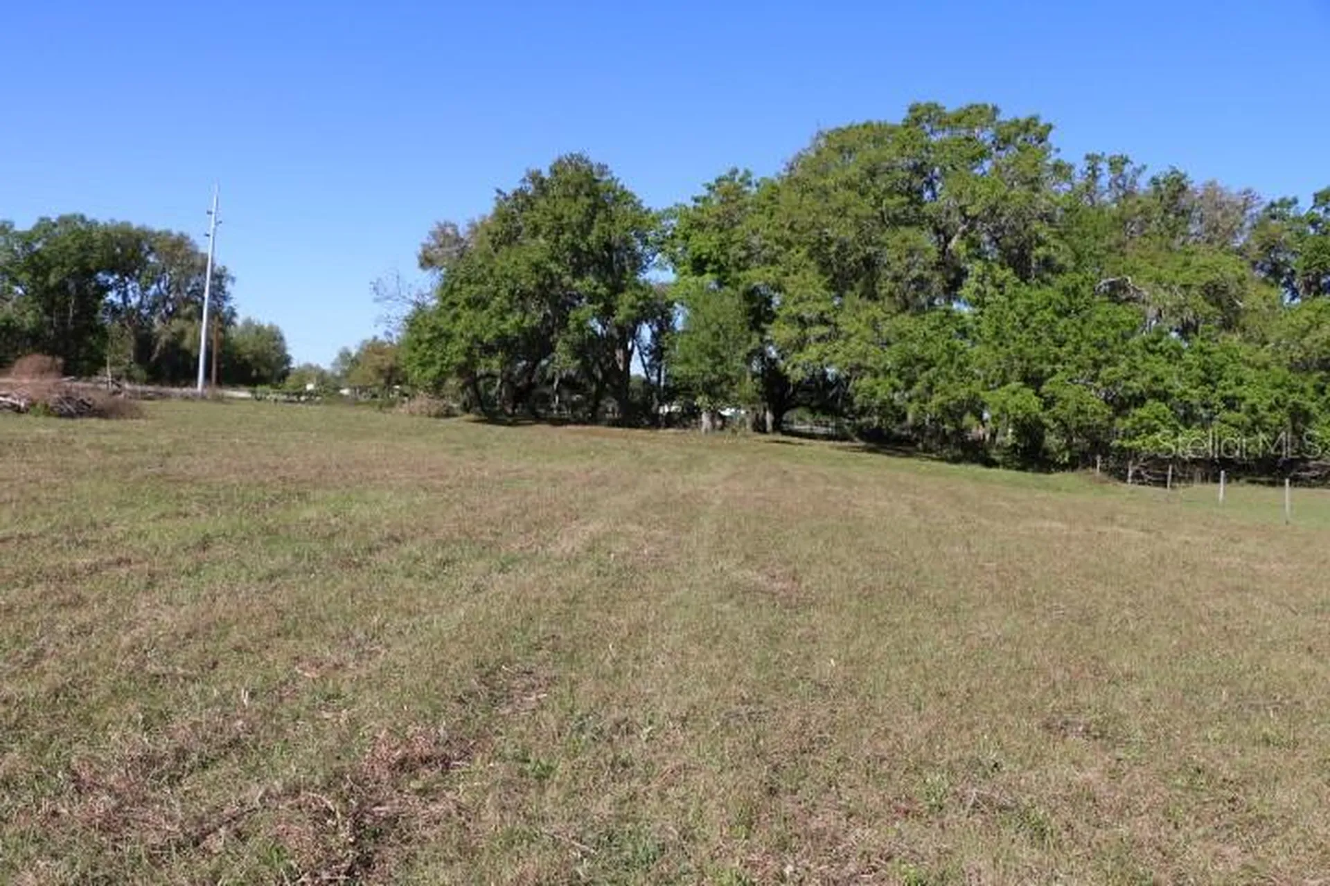 Cr 48 Bushnell FL 33513