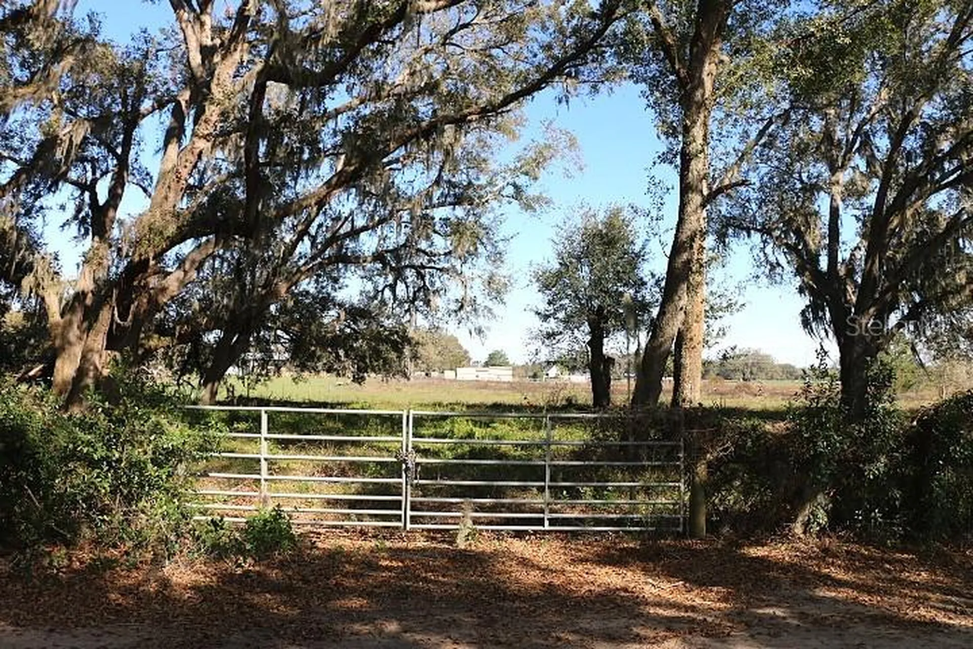 Cr 48 Bushnell FL 33513