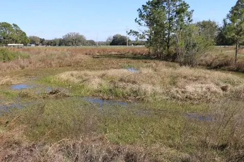 Cr 48 Bushnell FL 33513