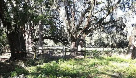 Cr 48 Bushnell FL 33513