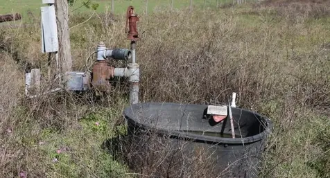 Cr 48 Bushnell FL 33513