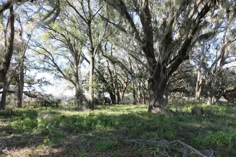 Cr 48 Bushnell FL 33513