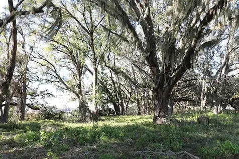 Cr 48 Bushnell FL 33513