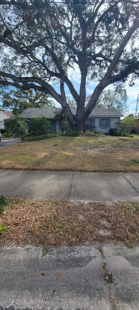 4012 W Pearl Avenue Tampa FL 33611