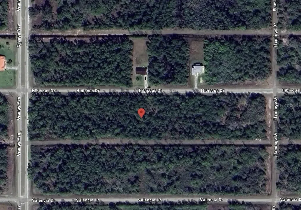 713 Hibiscus Drive Indian Lake Estates FL 33855