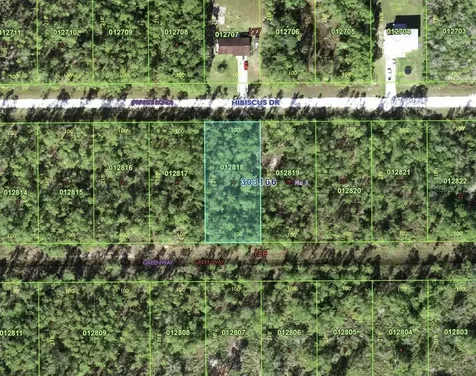 713 Hibiscus Drive Indian Lake Estates FL 33855