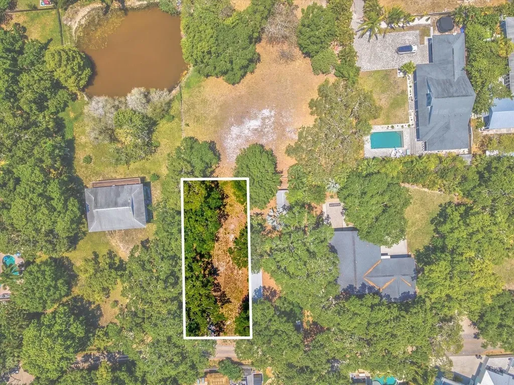 428 Lemon Street Palm Harbor FL 34683