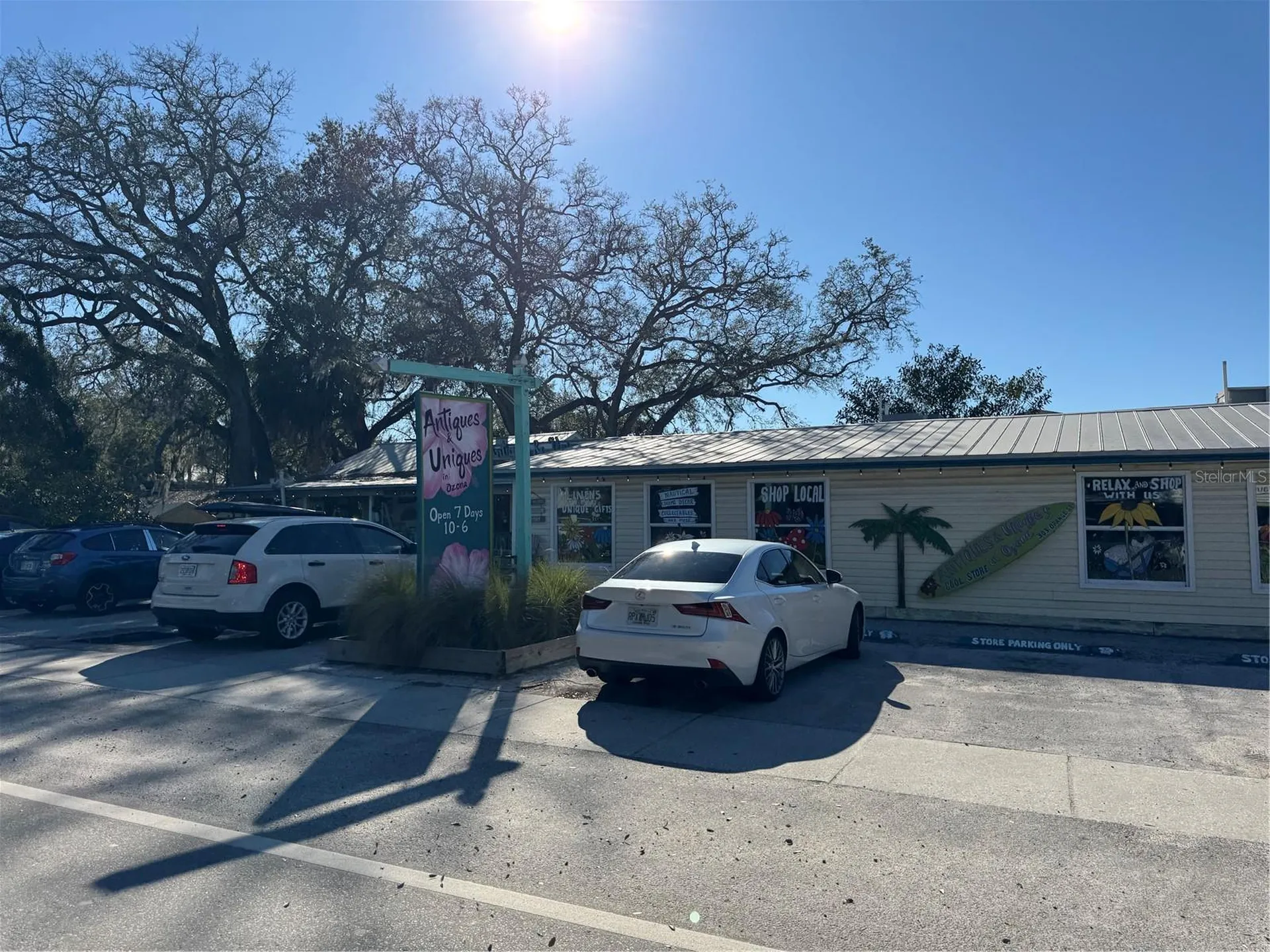 428 Lemon Street Palm Harbor FL 34683