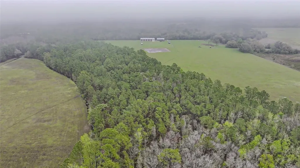 0000 Alligator Road Clermont FL 34714