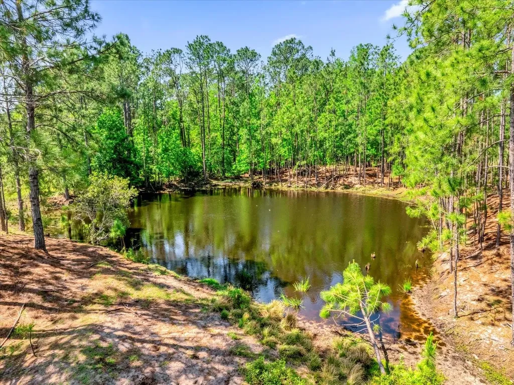 0000 Alligator Road Clermont FL 34714