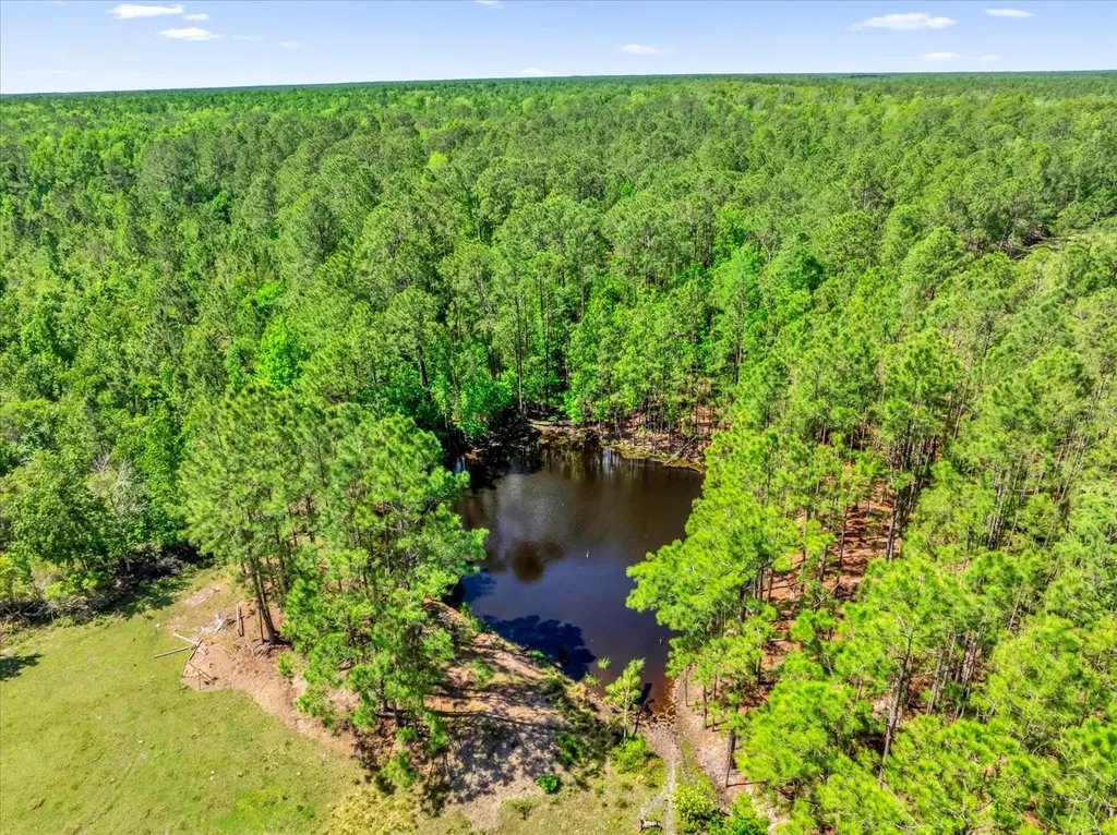 0000 Alligator Road Clermont FL 34714