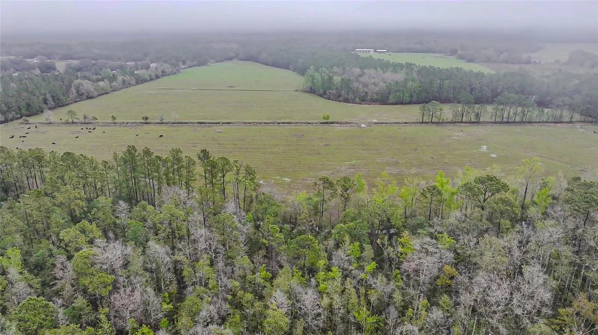 0000 Alligator Road Clermont FL 34714