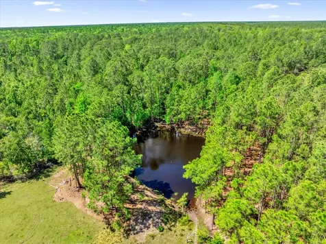 0000 Alligator Road Clermont FL 34714