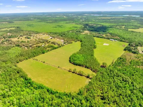 0000 Alligator Road Clermont FL 34714