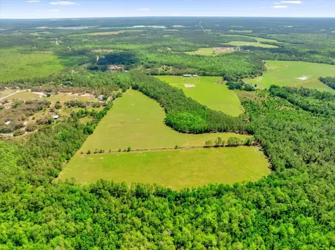 0000 Alligator Road Clermont FL 34714