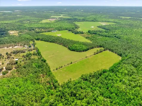 0000 Alligator Road Clermont FL 34714