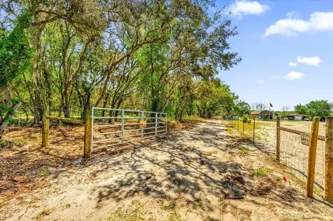 0000 Alligator Road Clermont FL 34714