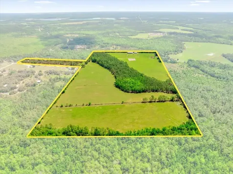 0000 Alligator Road Clermont FL 34714