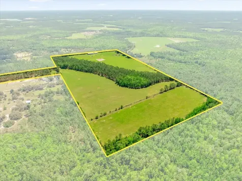 0000 Alligator Road Clermont FL 34714