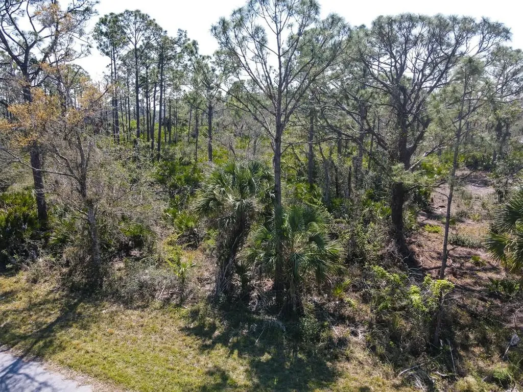 15179 Watkins Avenue Port Charlotte FL 33953