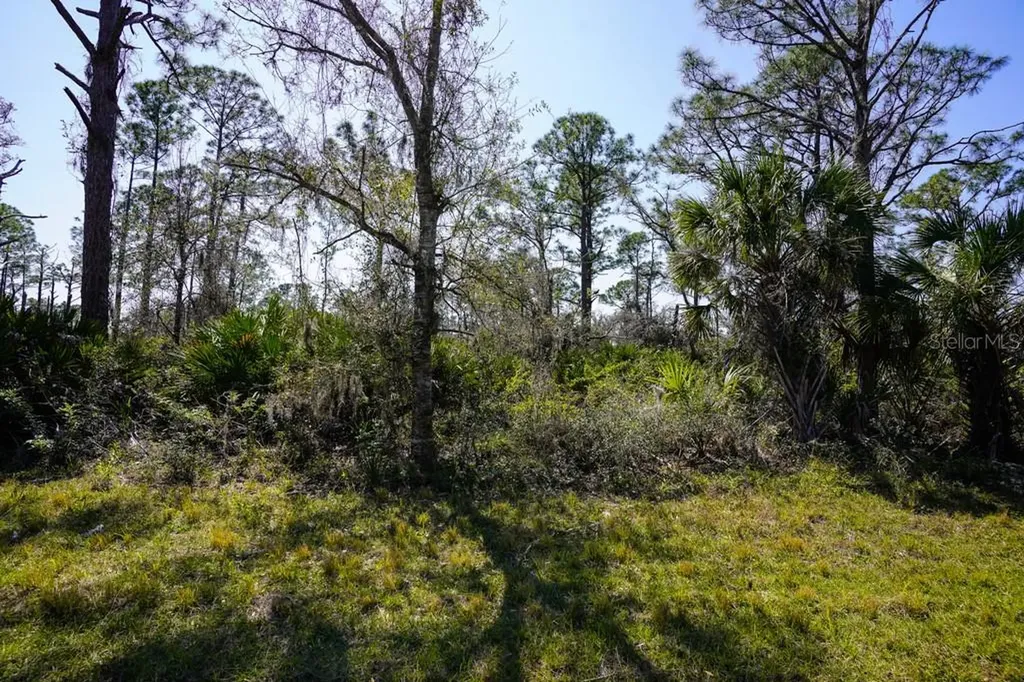 15179 Watkins Avenue Port Charlotte FL 33953