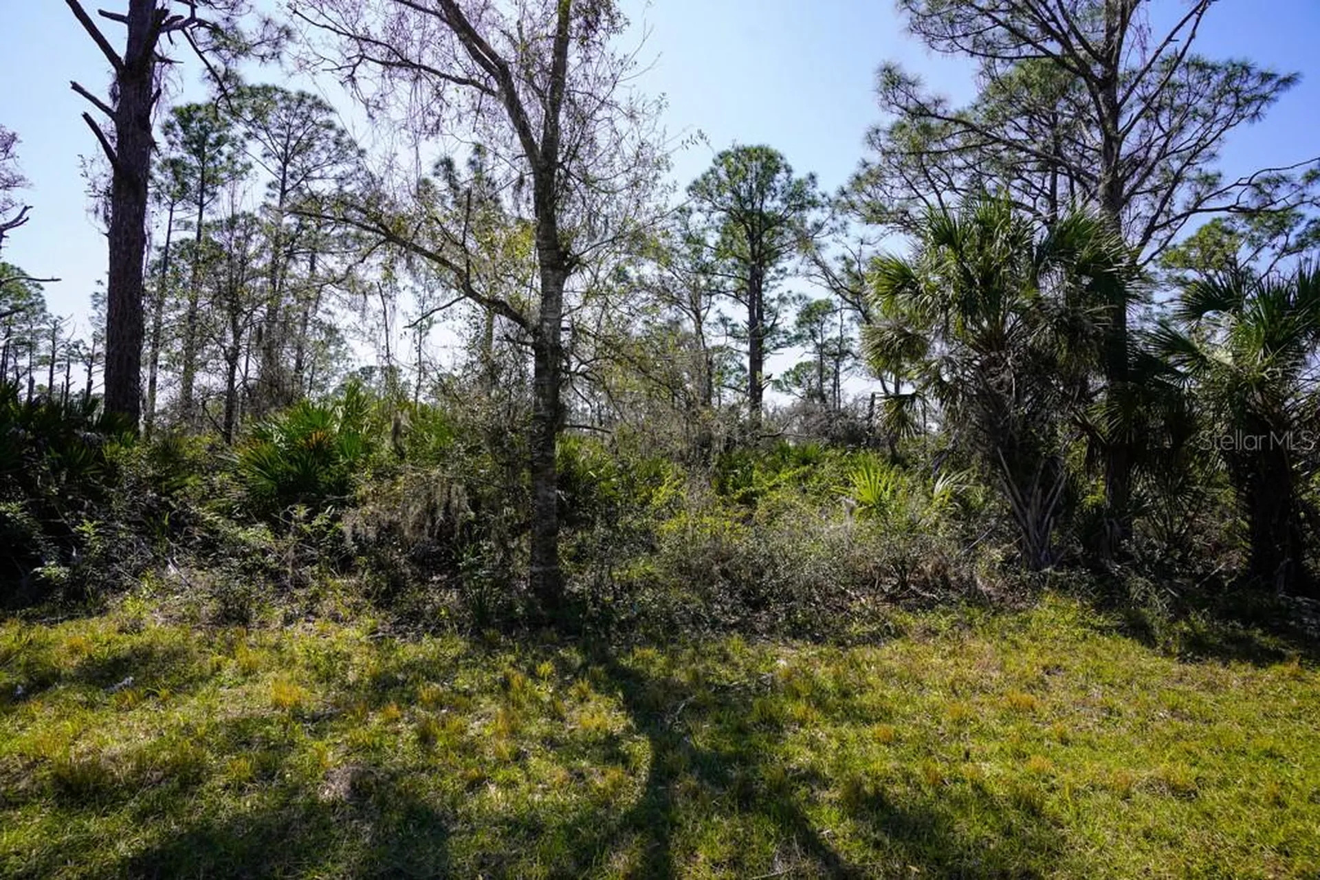 15179 Watkins Avenue Port Charlotte FL 33953
