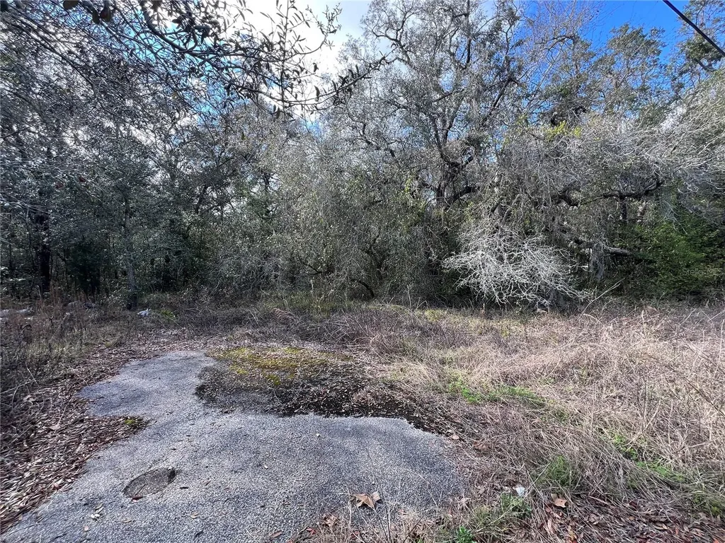 Unknown Hays Road Hudson FL 34669