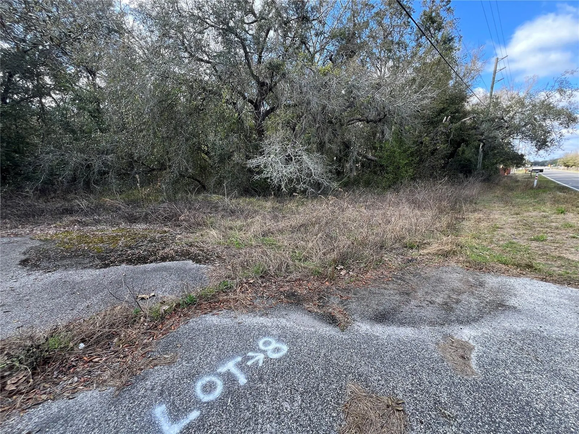 Unknown Hays Road Hudson FL 34669