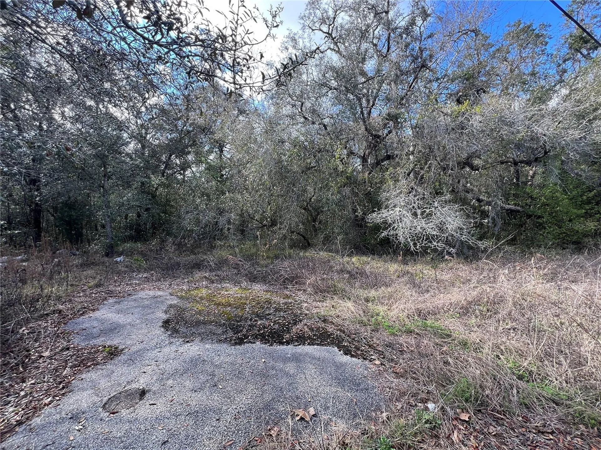Unknown Hays Road Hudson FL 34669
