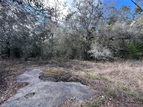 Unknown Hays Road Hudson FL 34669