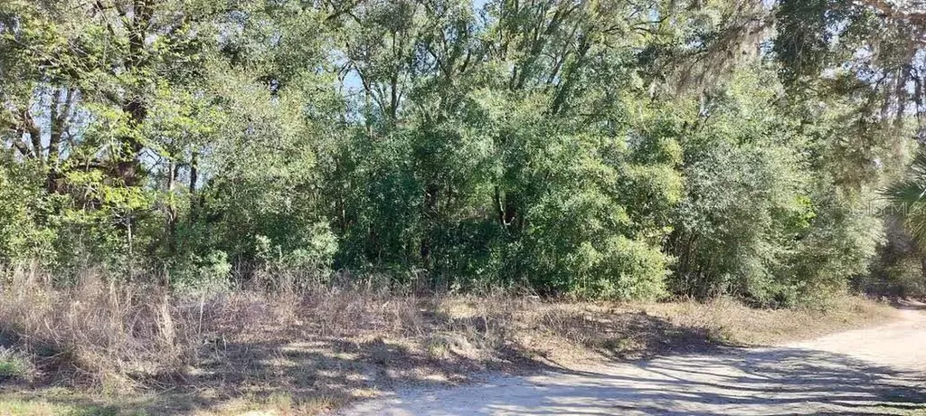 517 S Savary Avenue Inverness FL 34453