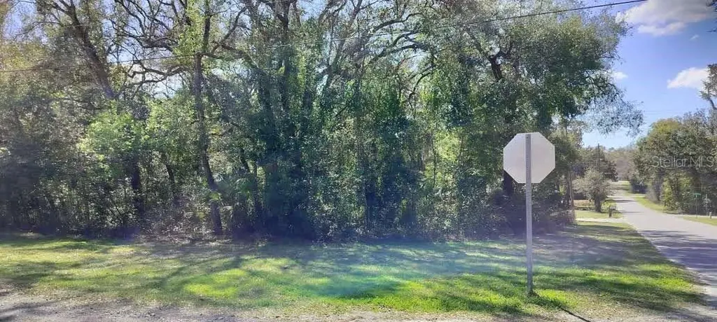 517 S Savary Avenue Inverness FL 34453