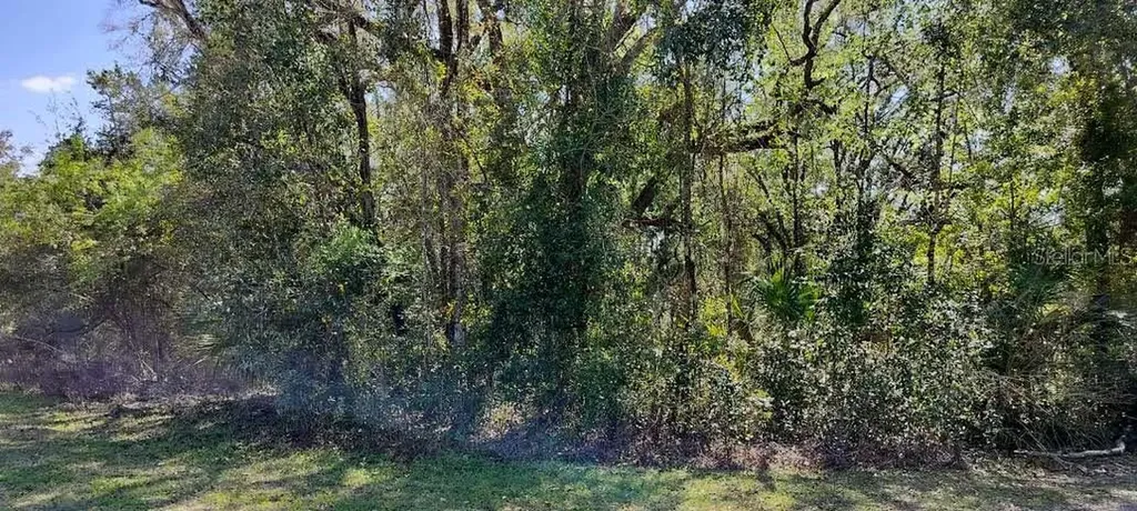 517 S Savary Avenue Inverness FL 34453
