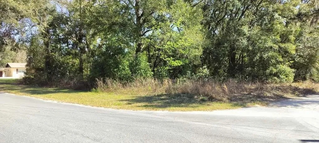 517 S Savary Avenue Inverness FL 34453