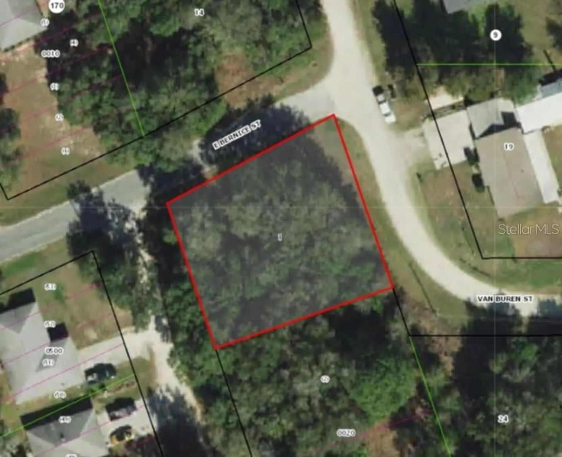 517 S Savary Avenue Inverness FL 34453