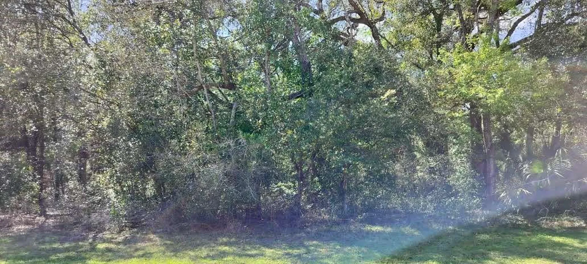 517 S Savary Avenue Inverness FL 34453