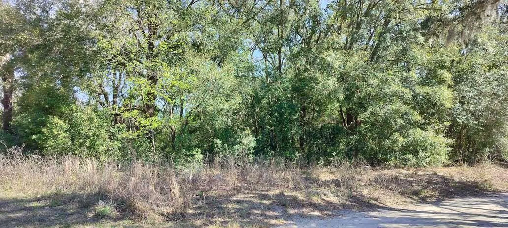517 S Savary Avenue Inverness FL 34453