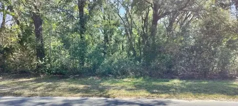 517 S Savary Avenue Inverness FL 34453