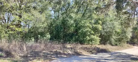 517 S Savary Avenue Inverness FL 34453