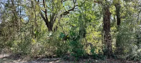517 S Savary Avenue Inverness FL 34453