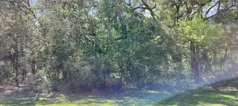 517 S Savary Avenue Inverness FL 34453