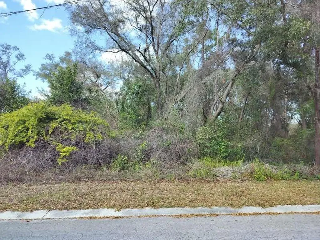 204 Adelphi Street Inverness FL 34452