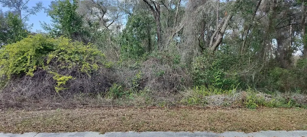 204 Adelphi Street Inverness FL 34452